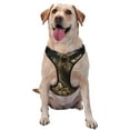 thumbnail image 1 of Saiise Palatial Gold Pattern Horse Print Dog Harness and Leash Set, No Pull Soft Mesh Pet Harness, Reflective Adjustable Puppy Vest for Small Medium Large Dogs, Cats-Large, 1 of 6