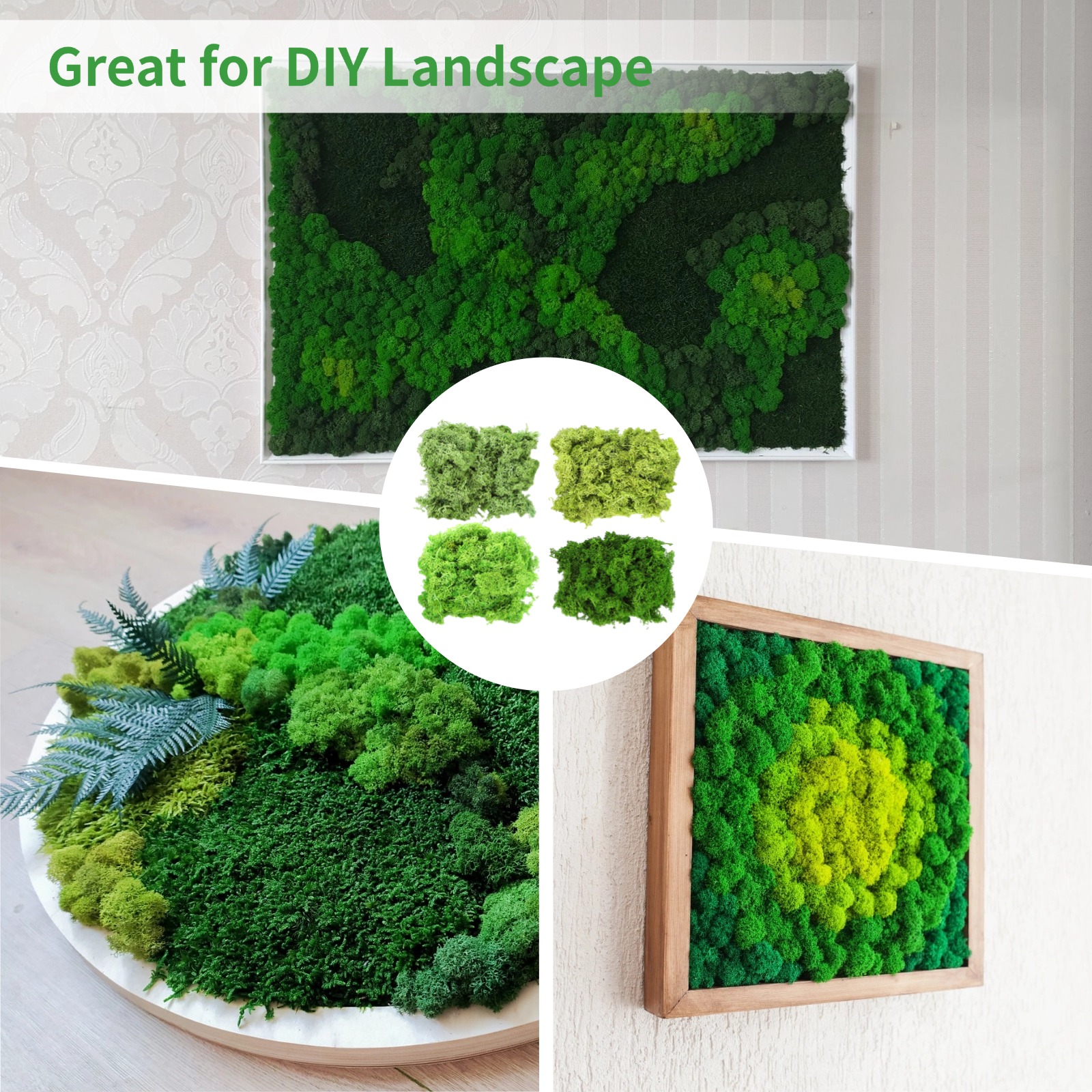 4 Colors Preserved Reindeer Moss for DIY Miniature Landscapes Green Natural Texture, Perfect for Craft Projects and Home Decor