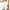 White, variant on DDAPJ pyju Flowy Shorts for Women Elastic High Waist Casual Ruffle Skorts Running Tennis Butterfly Shorts Loose Comfy Summer Shorts Sales Today Clearance Black M