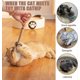 thumbnail image 4 of 4 Pcs Chew Sticks, Natural Cat Chew Toy, Catnip Toy For Cats, Cat Sticks, Cat Teeth Nip, Cat Teeth Cleaning, Kitten Teething And Stress Release, 4 of 5