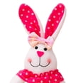thumbnail image 2 of Conejito Pascua Tarro Contenedor Almacenamiento Caja Golosinas Favores Fiesta () Rosa, 2 of 3