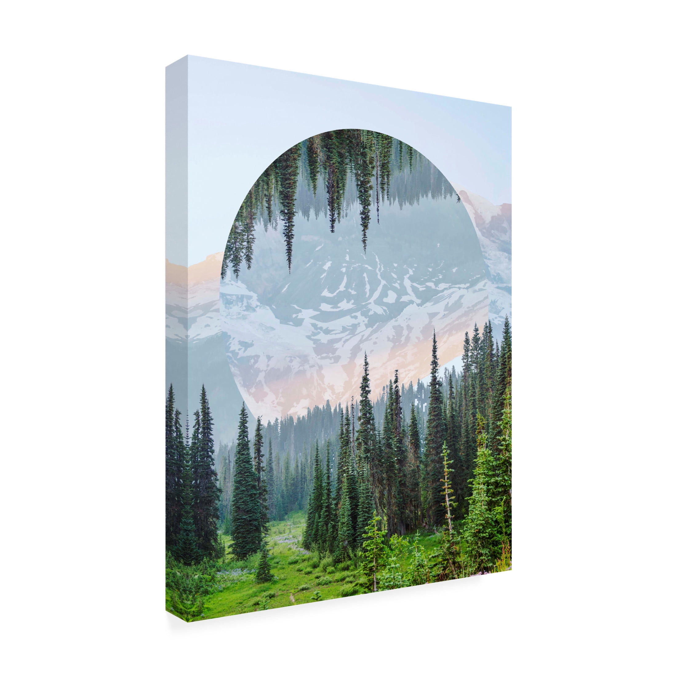 Trademark Fine Art Vision Studio  Western Treetops III Canvas Wall Art