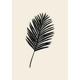 thumbnail image 3 of Artographie Studio 11x14 Black Modern Framed Museum Art Print Titled - Black Palm, 3 of 5