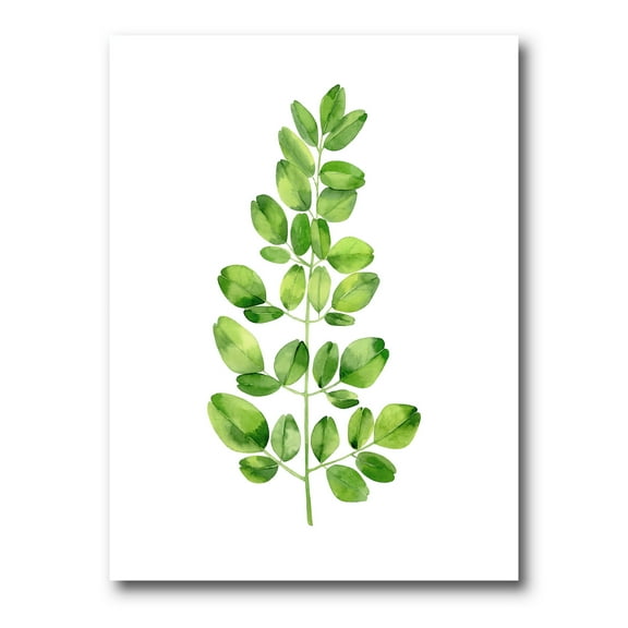 Moringa Plant Branch Tropical Tree Foliage 12 in x 8 in Painting Canvas Art Print, by Designart