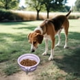 thumbnail image 3 of Collapsible Dog Bowls for Travel, Portable DogBowl, Dog Portable Water Bowl for Dogs Cats Pet Foldable Feeding Watering Dish for Traveling Camping Walking, 3 of 5