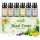 thumbnail image 1 of Set de mezcla de aceites esenciales Aeshory, 6 x 10 ml, aromaterapia, 1 of 8