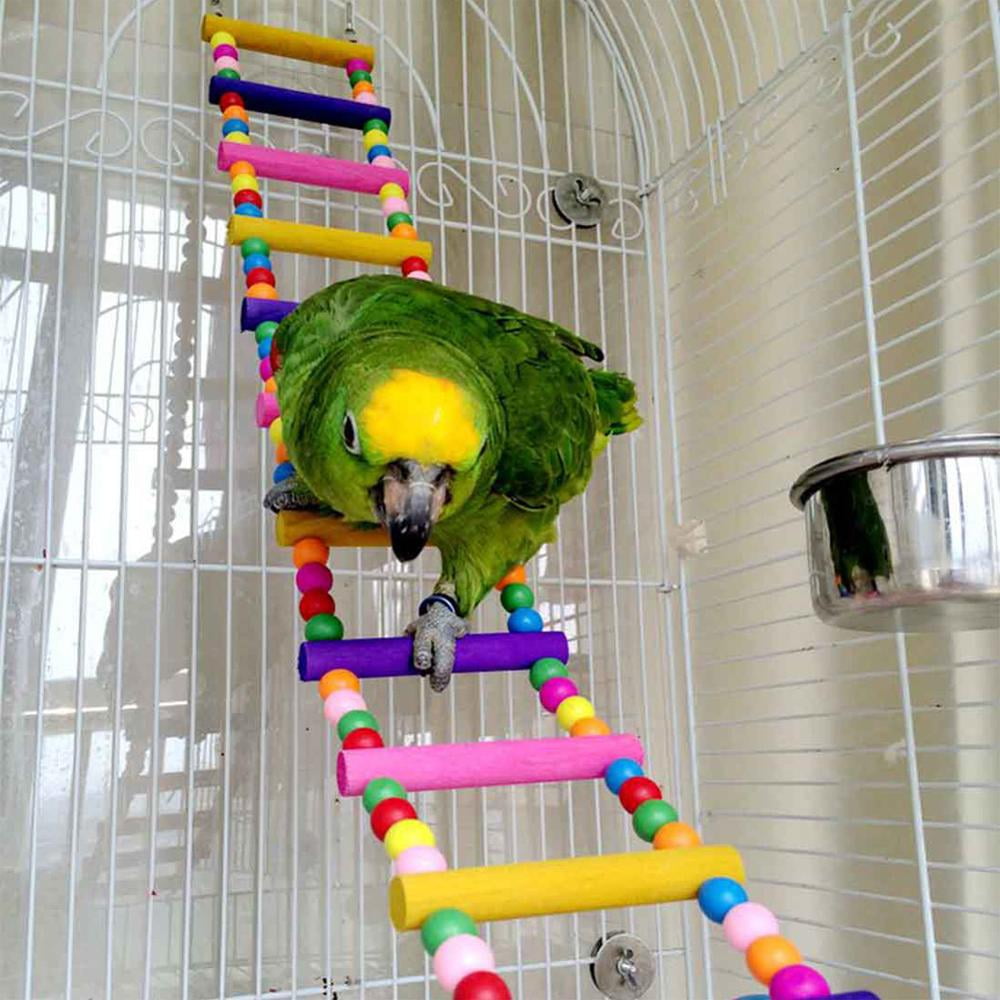 parrot cage toys