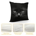 thumbnail image 4 of COMIO  Throw Pillow Cover Black Cat Cute Face Lovely Animal Cool Kitten Kitty Eye Pattern Fashion Adorable Pet Decor Lumbar Pillow Case Cushion for Sofa Couch Bed Standard Queen, 4 of 5