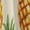 style-4, variant on Lunarable Pineapple Sleeveless Dress Woman Fashion Long Dresses Women's Summer Suit Dress 2025