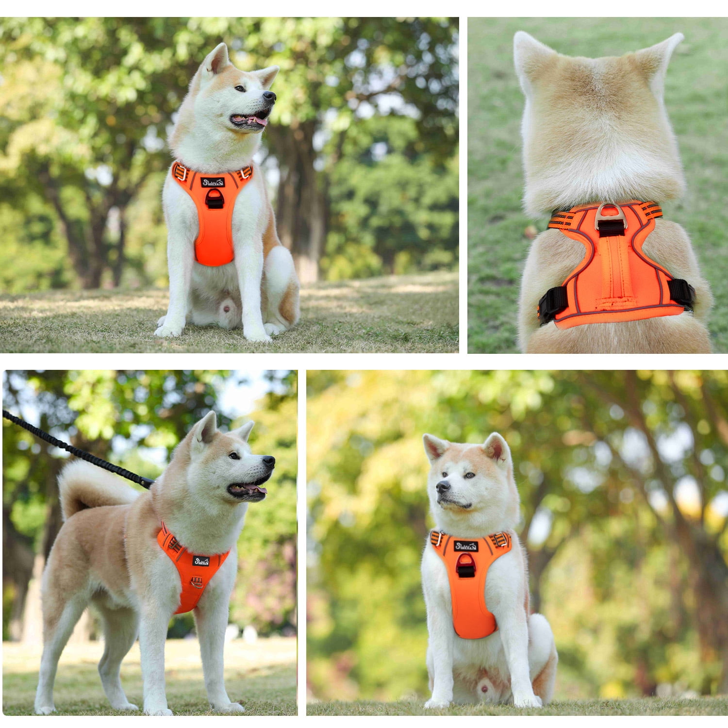 AUTOWT No Pull Dog Harness - Heavy Duty, No Choke Design with 2 Leash Clips & Adjustable Padded Vest