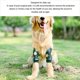 thumbnail image 3 of Manga de recuperación de cirugía para perros para patas delanteras protector de codo para perros manga de recuperación para perros con banda elástica acolchada suave evita ANGGREK  Otros, 3 of 8