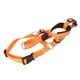 thumbnail image 3 of Bozal para perro con cuello de cabeza bozal ajustable resistente a los tirones para cabeza de perro para caminar ANGGREK  Otros, 3 of 8