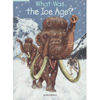 What Was the Ice Age?