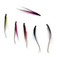 thumbnail image 5 of 6Pcs TUBE Fly Fishing Saltwater Long Streamer Steelhead Salmon Musky Trout 25mm/50mm , 25mm, 5 of 7