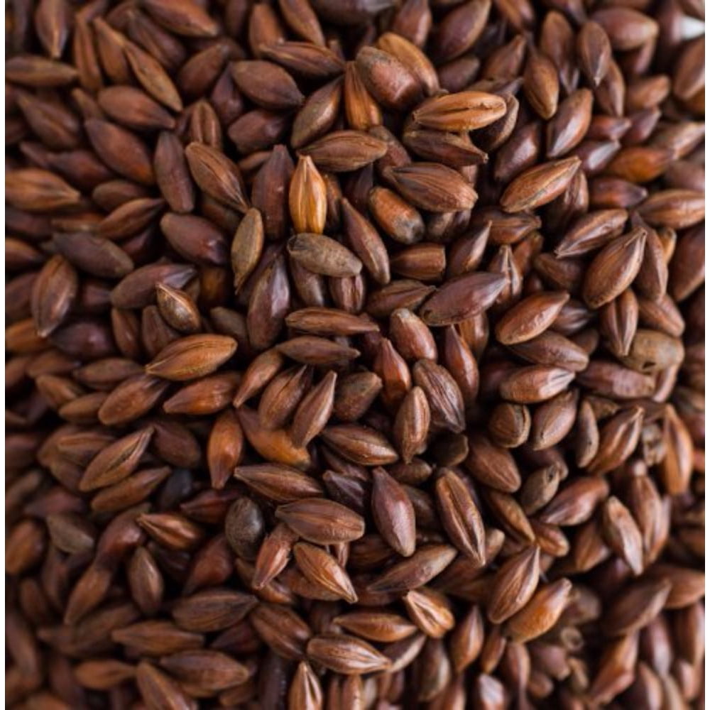 Briess Organic Roasted Barley Malt Home Brewing Malt Whole Grain 1lb Bag