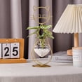 thumbnail image 3 of Desktop Glass Planter Vase Holder, Metal Cat Plant Terrarium Stand for Plants Creative Decorations for Home Patio Lawn Garden, 3 of 6