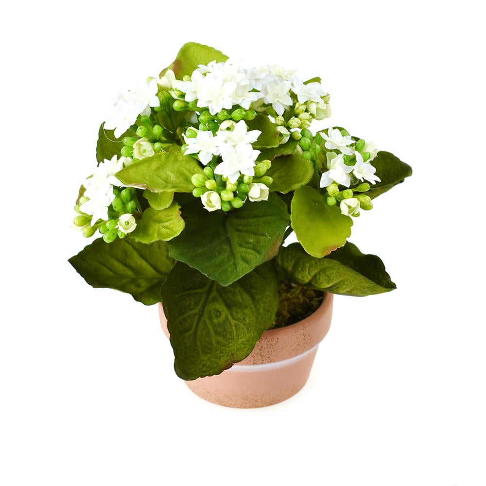 Artificial Silk Kalanchoe Flower Pot, White, 8Inch
