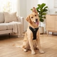 thumbnail image 3 of Vibrant Life Reflective Mesh Adjustable Dog Harness, Black, Large, 3 of 14