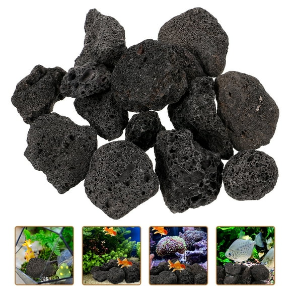 FRCOLOR Volcanic Rock Pumice Stone Black 1 Pack (200g) Natural Flower Pot Decoration