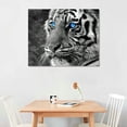 thumbnail image 2 of Acheng  Large 3 Pieces Canvas Prints Wall Art Blue Eyed Tiger Poster Printed On Canvas Animal Pictures Painting Giclee Artwork Framed For Office Home Decorations (Blue Eye) 16x12in, 2 of 6