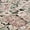 Green, variant on Laura Ashley Eliza Rug, Assorted Sizes and Designs