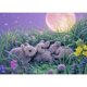 thumbnail image 1 of Pintura de diamante (DE5390) Conejo 5D DIY Mosaico cuadrado Decoración Abalorios para regalos 40x50cm Hugtrwg Para estrenar, 1 of 1