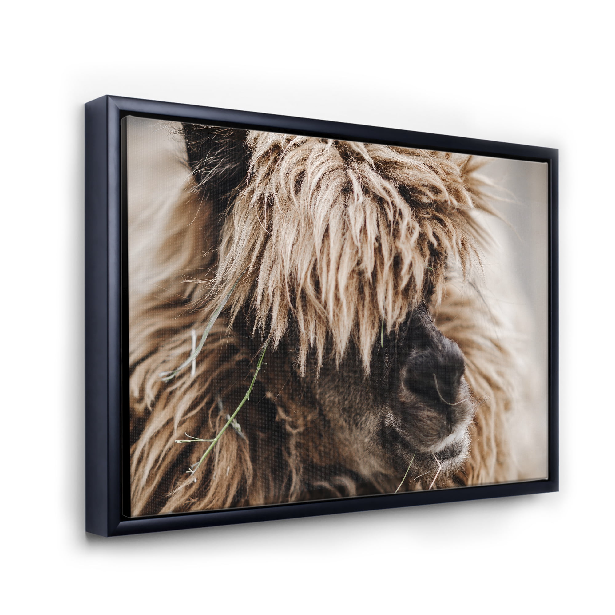 Designart 'Close Up Of Fluffy Curly Alpaca' Farmhouse Framed Canvas Wall Art Print
