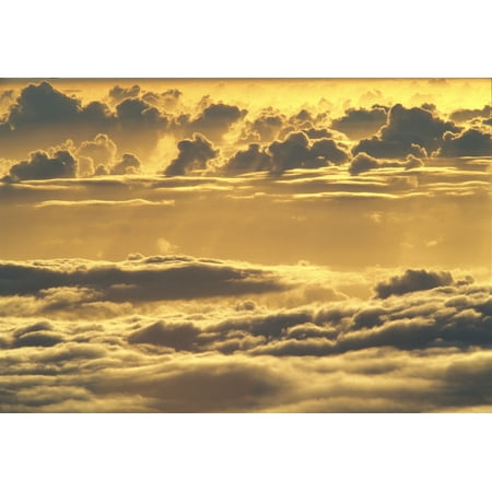 Hawaii Big Island Mauna Kea Yellow Sunset Sky View From Above And Through Puffy Clouds Canvas Art - Carl Shaneff  Design Pics (18 x