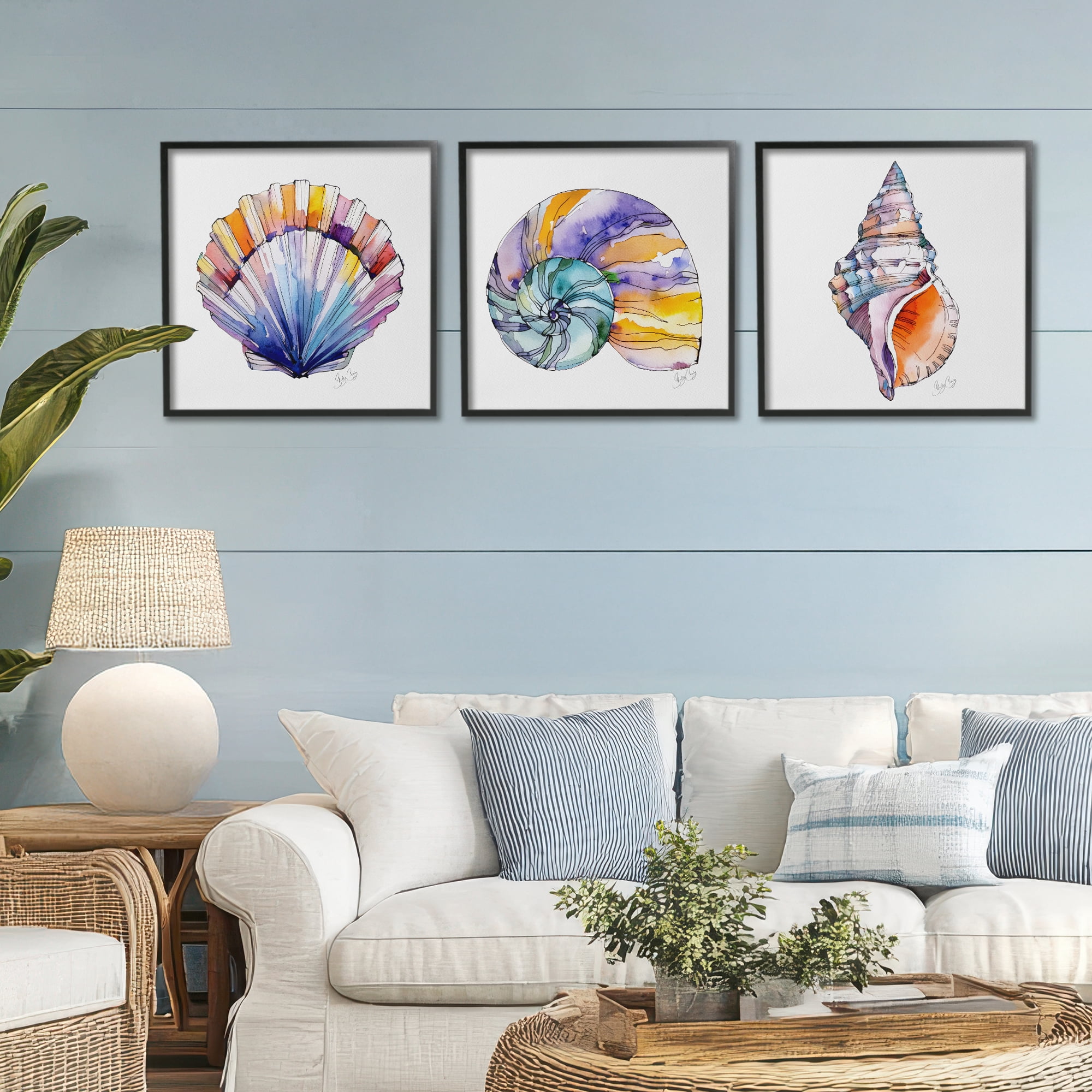 Stupell Industries Sunlit Seashells Watercolors 3 Piece Black Framed Giclee Art Set, design by Shelly Craig
