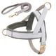 thumbnail image 1 of Personalized Dog Harness Leash Set No Pull Dog Harnesses Adjustable Pet Vests For Small Medium Large Dogs Pets Walking Lead Rope ShopWise Round, 1 of 10
