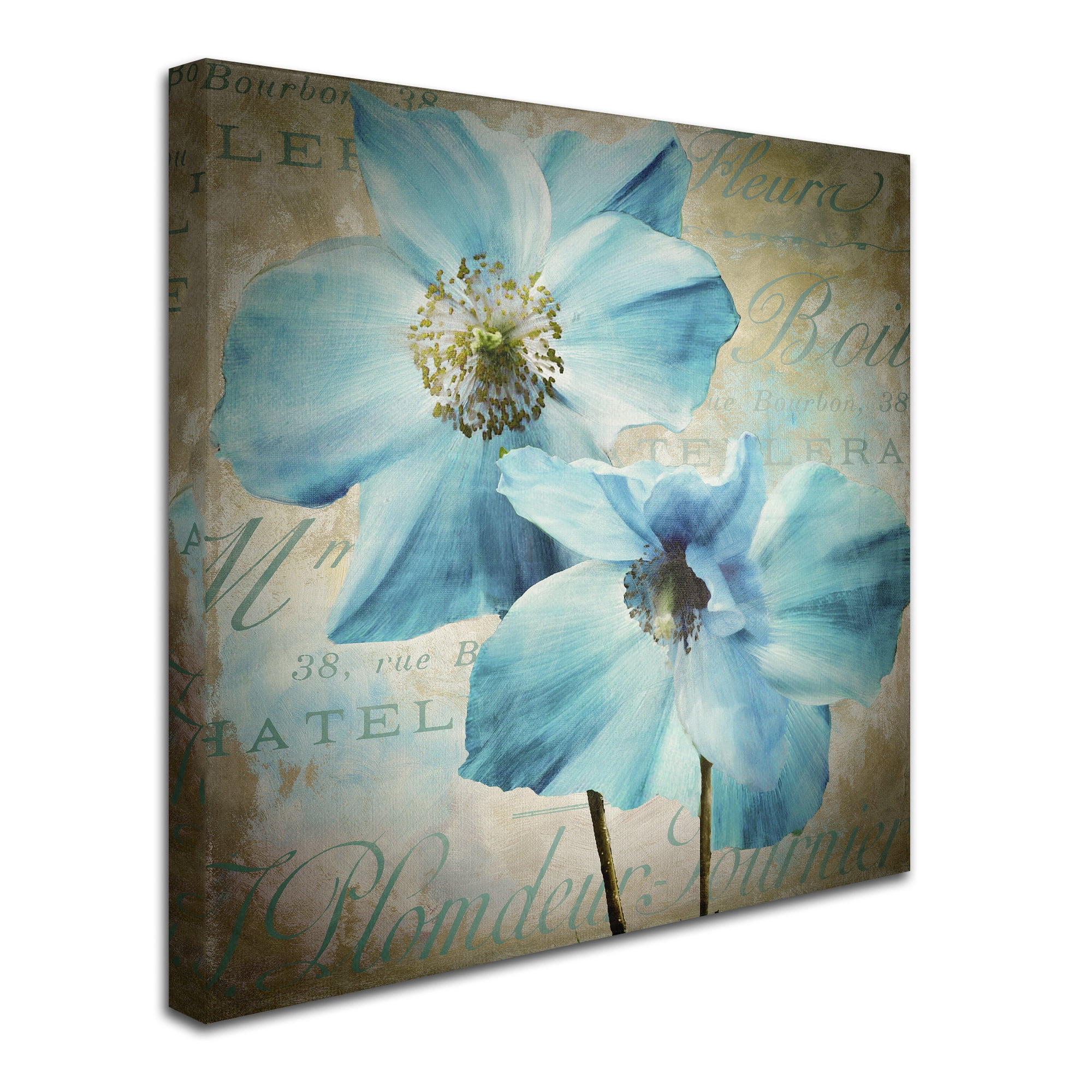 Trademark Fine Art "Himalayan Blue I" Canvas Art by Color Bakery