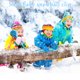 thumbnail image 4 of Clip De Bola De Nieve Forma de copo de nieve Clip de bola de nieve Plástico con mango Juguetes de deportes de invierno (Azul), 4 of 6