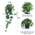 thumbnail image 3 of Plantas colgantes artificiales de pothos de alyptus, set de 2, 3 of 9