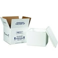 thumbnail image 1 of Boxes Fast BF214C Insulated Shipping Box with Foam Container, 9 1/2" x 9 1/2" x 7", Small, White, 1 of 1