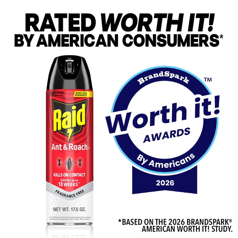 Raid Ant & Roach Killer, Fragrance Free, 2 Count photo 8