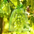 thumbnail image 4 of 100pcs Fruit Protection Bag 20x30cm - Insect Screen for Garden and Farmrose Red, 4 of 5