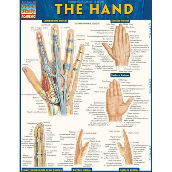 BarCharts  The Hand Quickstudy Easel