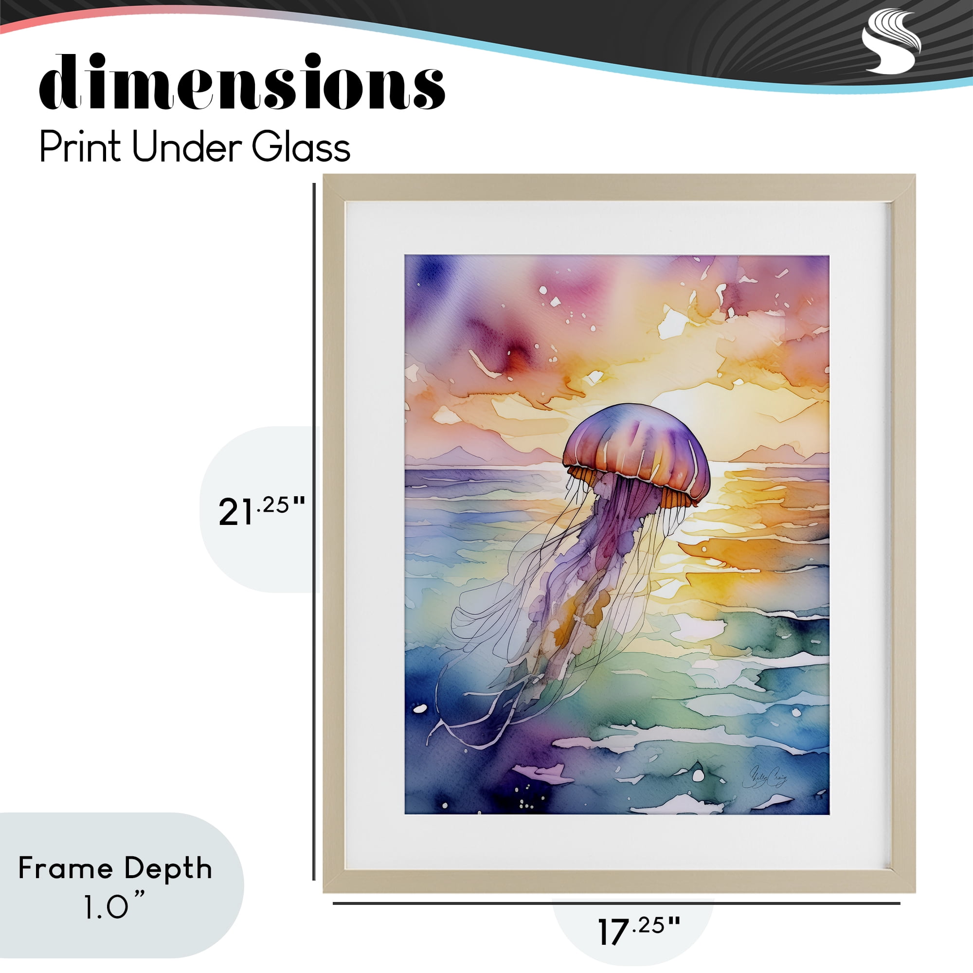Stupell Industries Celestial Drift Jellyfish Birch Framed Print Under Glass, design by Shelly Craig