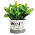 thumbnail image 1 of Topiarios, plantas y flores artificiales, mini plantas, maceta., 1 of 6