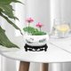 thumbnail image 4 of 1 Set Ceramic Hydroponic Flower Pot with Base for Daffodil Water Lily Lotus Decorative Round No Hole Planter for Office Home, 4 of 4