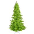 thumbnail image 1 of Vickerman K162675 7.5 ft. x 52 in. Lime Fir Christmas Tree with 1634 Tips, 1 of 3