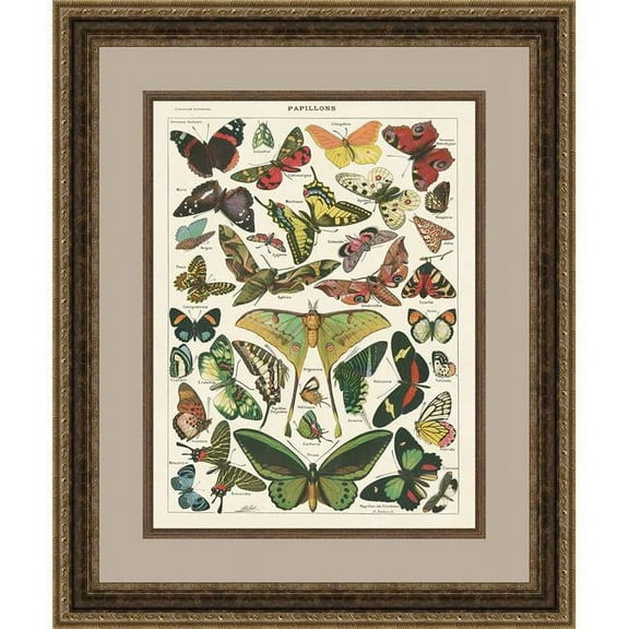 Somerset House Publishing  28.5 x 24.5 in. Papillons I, Framed Fine Art Print with Glass - Gold