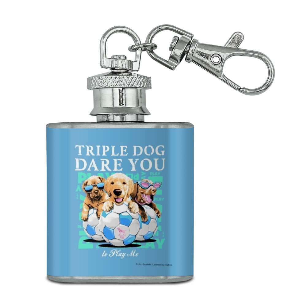 GRAPHICS & MORE Triple Dog Dare You to Play Me Puppies Soccer Balls Antiqued Bracelet Pendant Zipper Pull Charm with Lobster Clasp