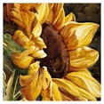 thumbnail image 2 of 20X20cm pintura al óleo por números girasol imagen sin marco manualidades decoración del hogar Likrtyny  decoración de arte, 2 of 9
