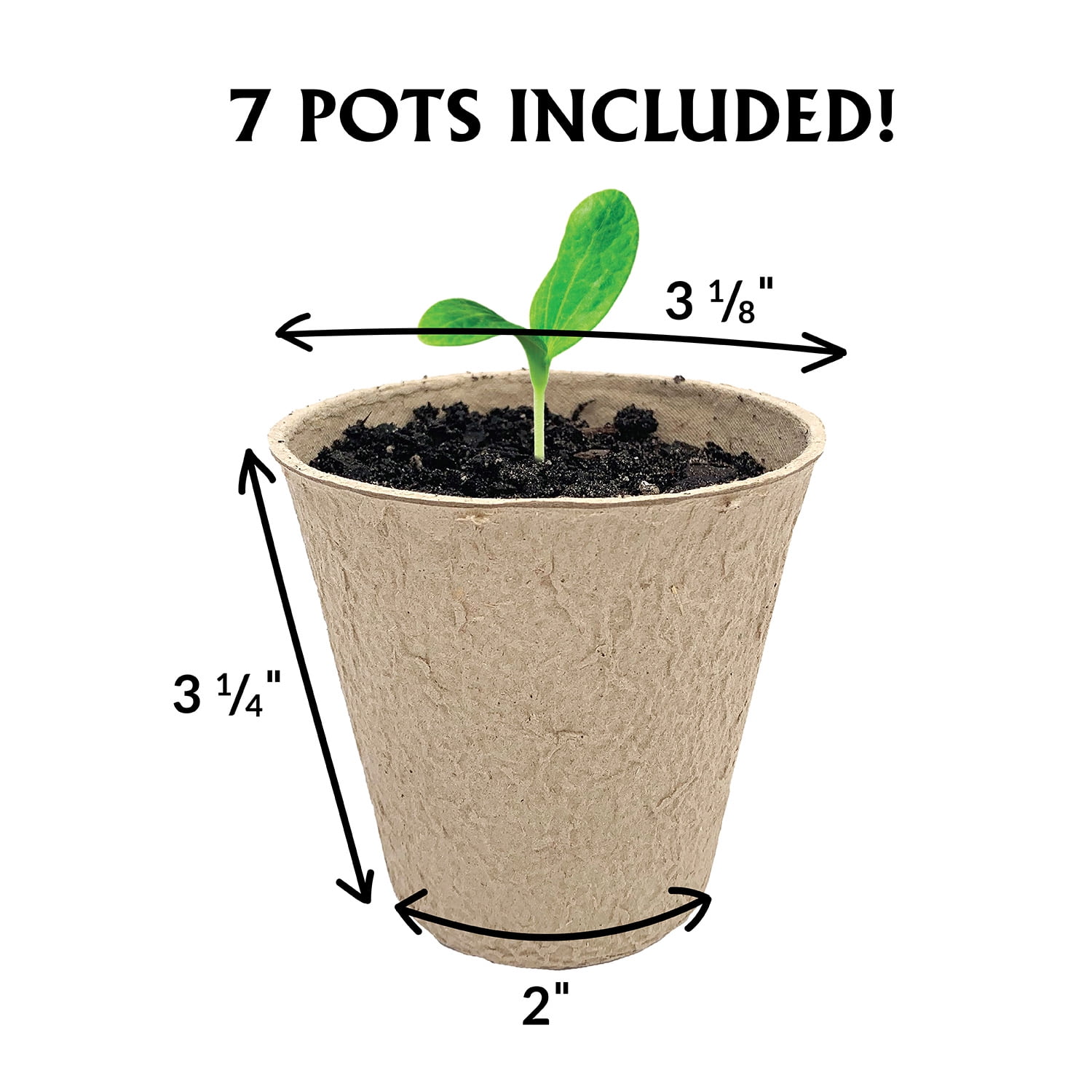 Ferry-Morse Seed Starting Kit with 3-inch Plantable Fiber Pots