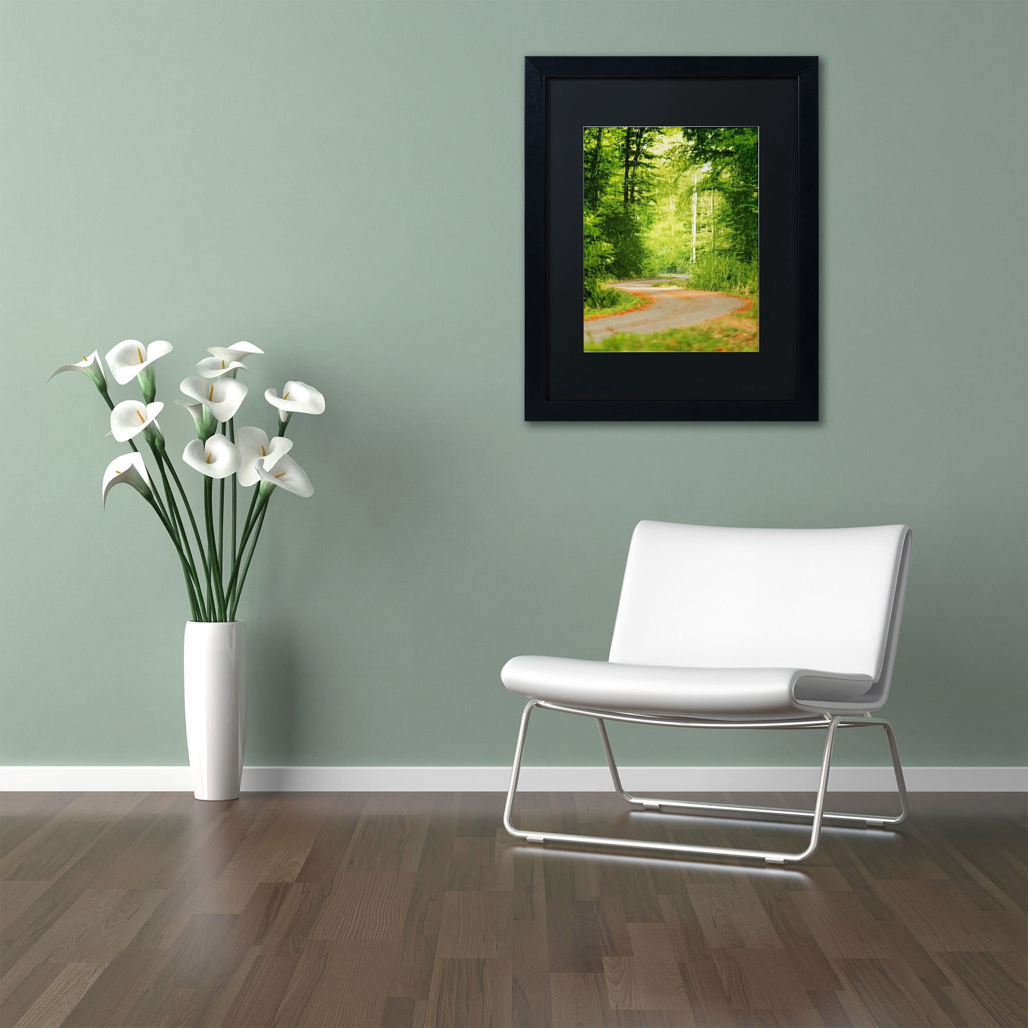Trademark Fine Art "S Road" Canvas Art by Philippe Sainte-Laudy Black Matte, Black Frame