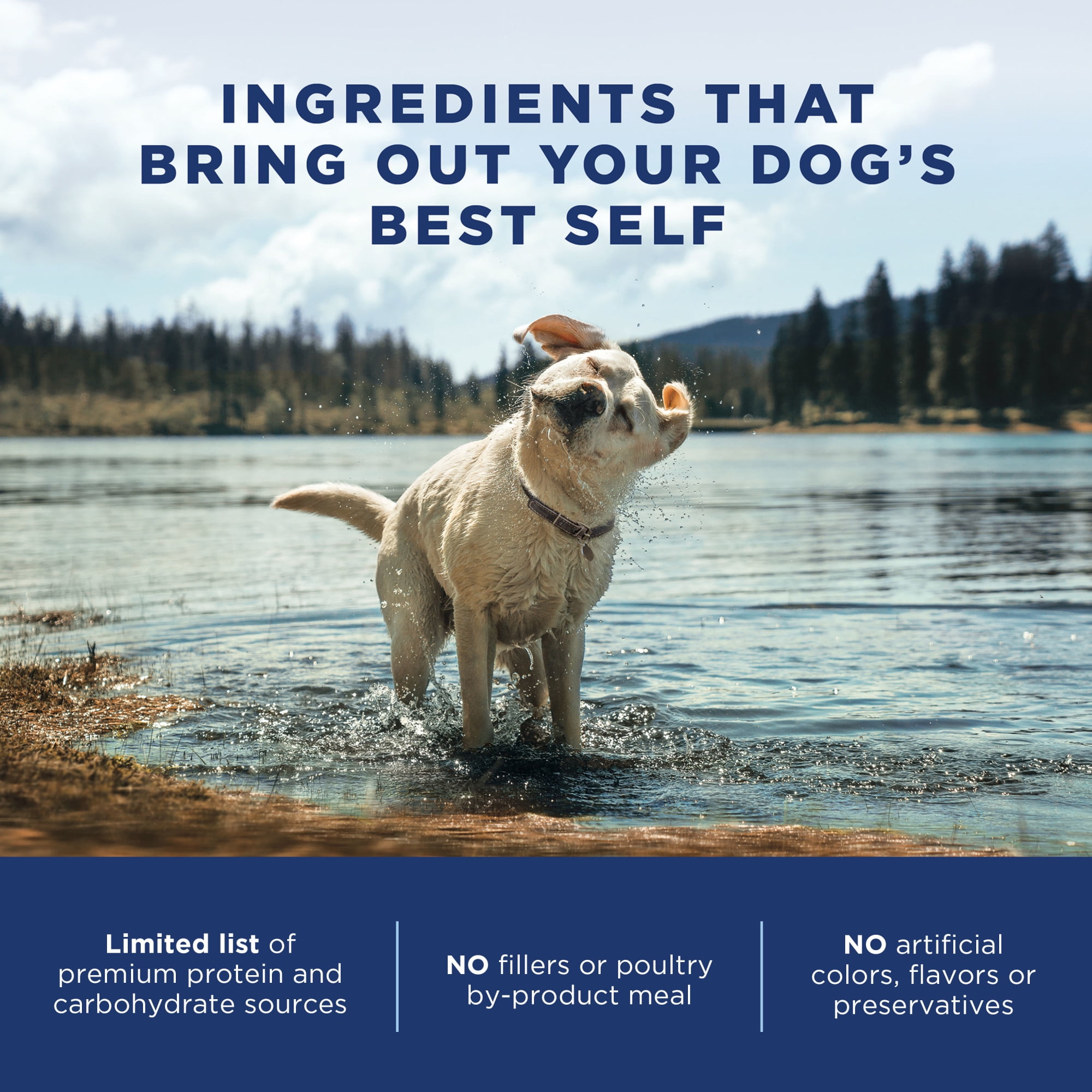 Natural Balance L.I.D. Limited Ingredient Diets Dry Dog Food, 12 Pounds, Lamb & Brown Rice Small Breed Formula