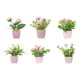 thumbnail image 4 of 6 piezas de flores artificiales en maceta, mini plantas rústicas en maceta. Estilo B, 4 of 9