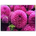 thumbnail image 1 of Picture-Tiles.com: Flowers Ceramic Tile Wall Mural WAL500634-43XL. 48"W x 36"H using (12) 12" x 12" Ceramic Tiles-Satin Finish, 1 of 3