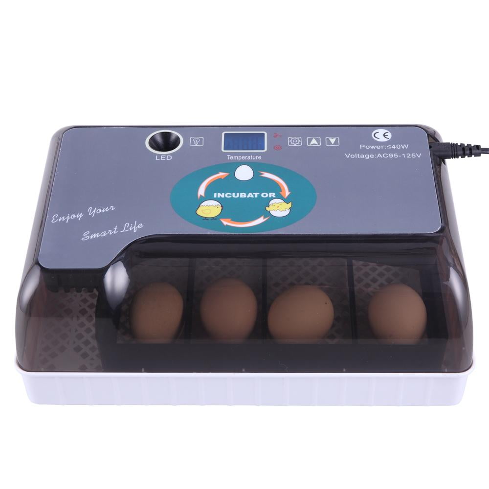 Digital Egg Incubator Fully Automatic 12 Eggs Poultry Hatcher for Chickens Ducks 